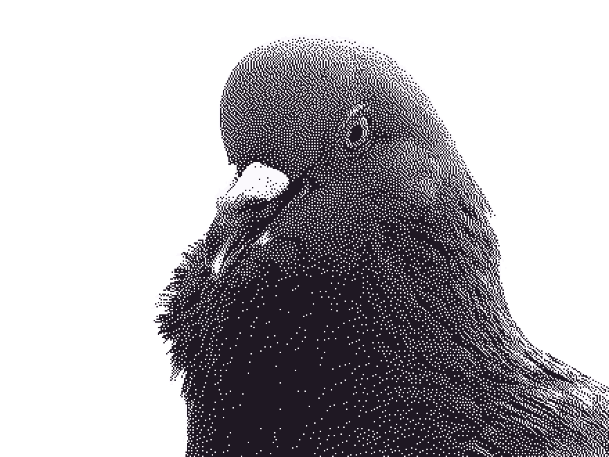 A very serious pigeon, rendered in chunky black-and-white pixels.
